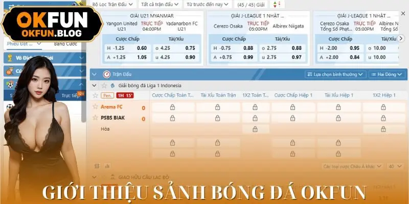 Giới thiệu danh mục chơi bóng đá trên website